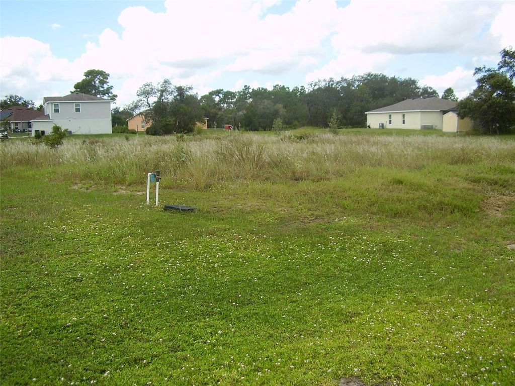 Photo of 1943 Manatee Drive, Kissimmee, FL 34759 (MLS # R4909991)