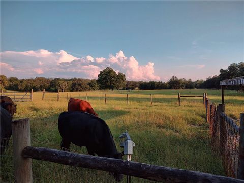 Tiny photo for 35126 William Lane, Eustis, FL 32736 (MLS # G5101068)