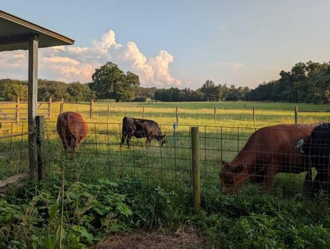 Tiny photo for 35126 William Lane, Eustis, FL 32736 (MLS # G5101068)