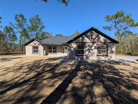 Photo of 12504 SW 78th Place, Dunnellon, FL 34432 (MLS # OM720421)