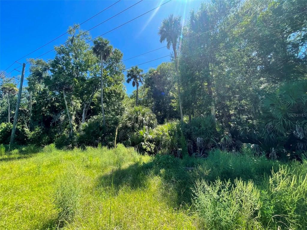 Photo of Old Mission Road, New Smyrna Beach, FL 32168 (MLS # NS1088800)