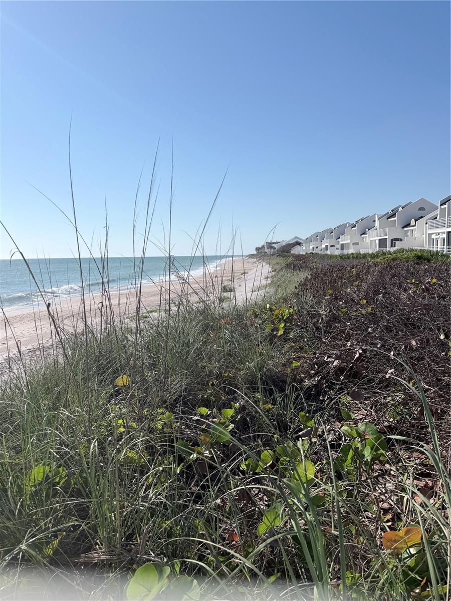 BAYTREE VILLAS PH II - Residential