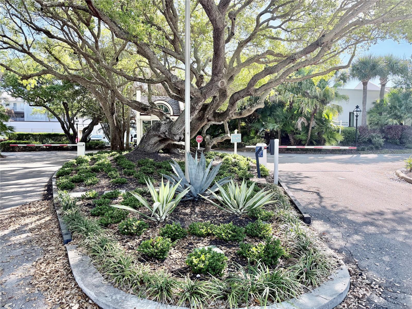 BAYTREE VILLAS PH II - Residential