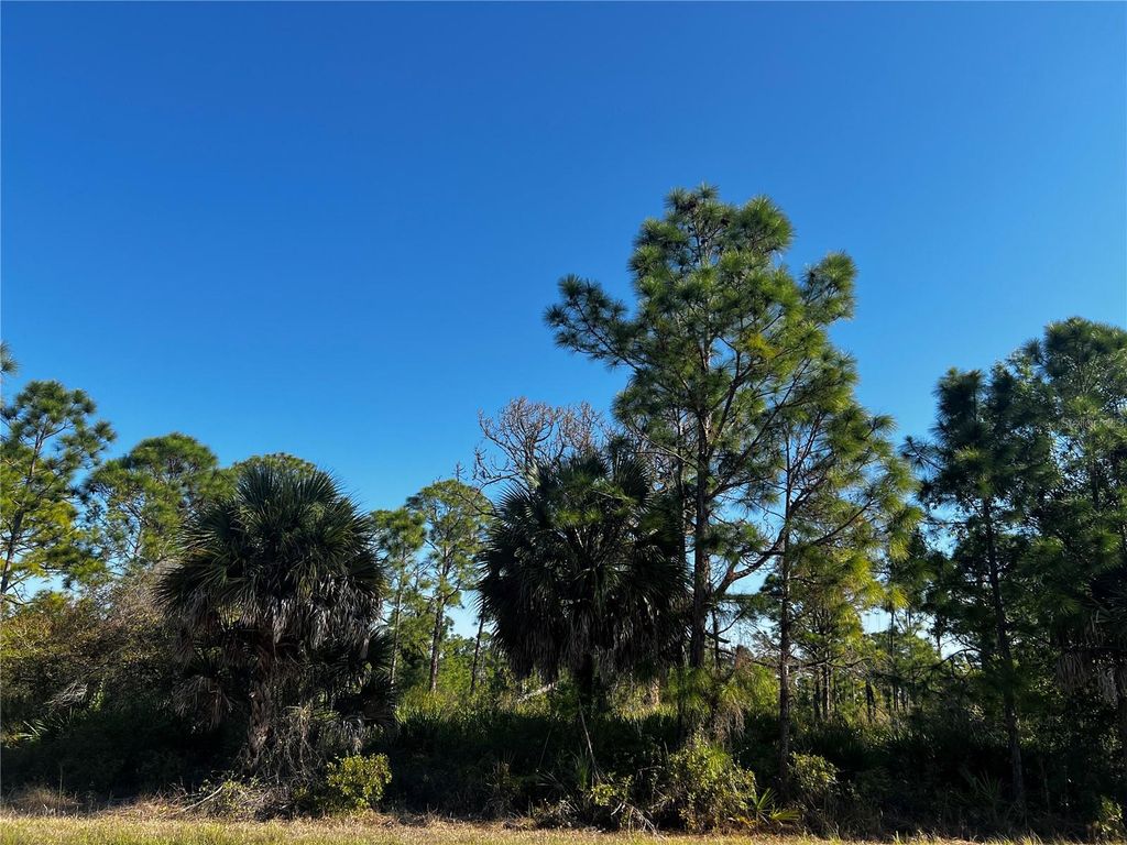 Photo of 13526 Suribachi Avenue, Port Charlotte, FL 33953 (MLS # A4687520)