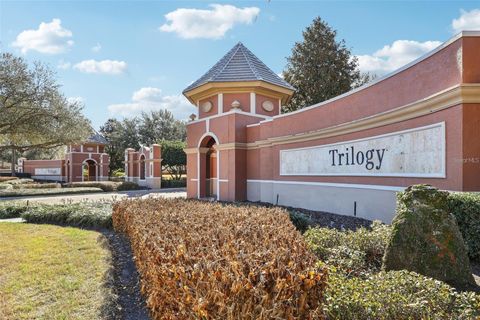 Tiny photo for 389 Silver Maple Road, Groveland, FL 34736 (MLS # S5145090)