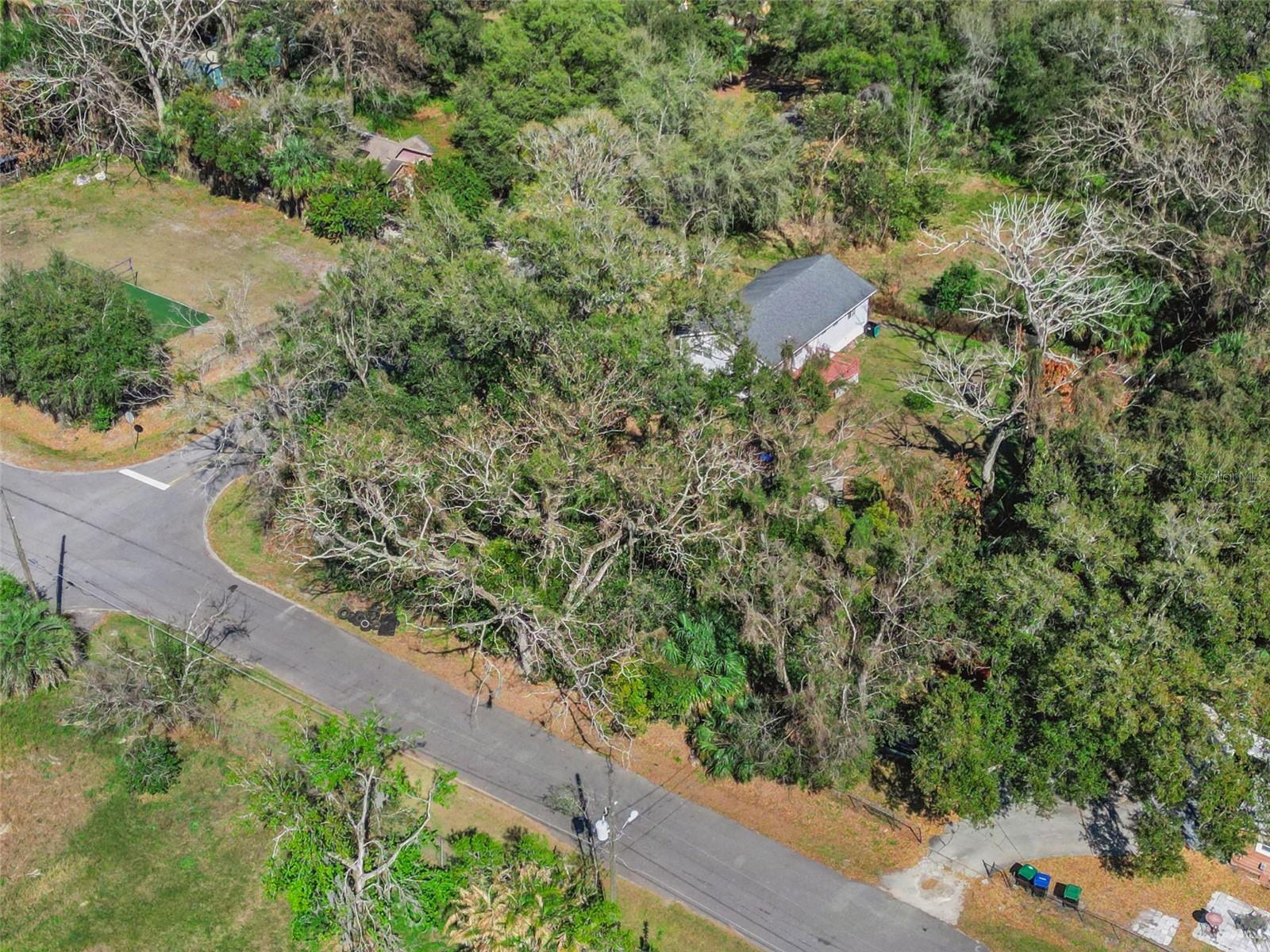 LINCKLAEN HEIGHTS - Land