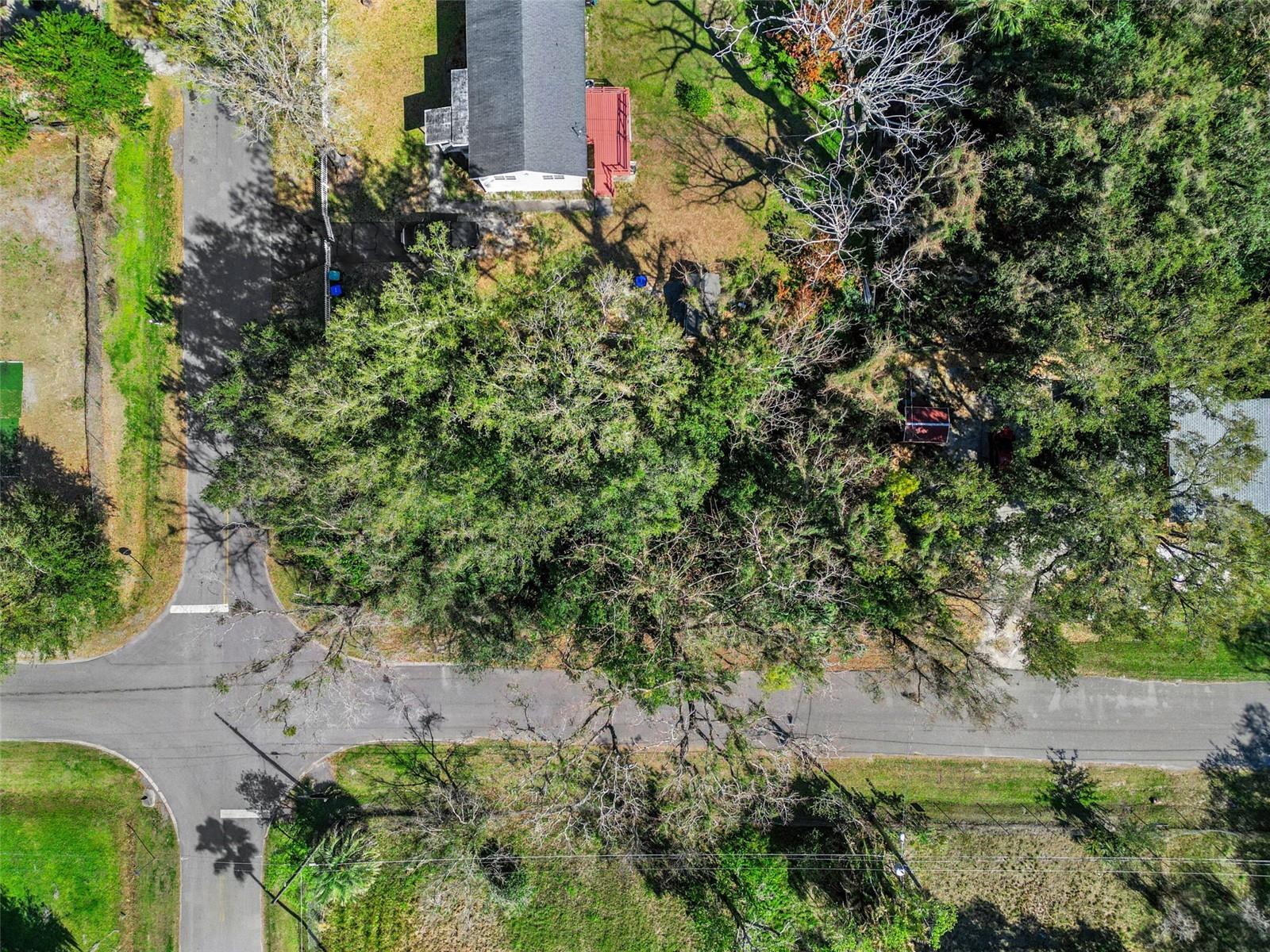 LINCKLAEN HEIGHTS - Land