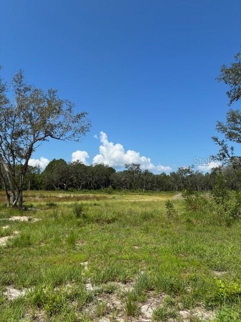 This beautiful acreage is in a rural area just two miles from downtown Umatilla. There is a total of 23 acres with 5.05 acres high and dry. The owners have been clearing the front of the property and it’s ready for your dream home! The additional acreage would be great for cattle, or simply a serene escape into nature! Notably, there are no HOA restrictions or timelines for construction, granting you the freedom to bring your dreams to life. Whether you envision a tranquil farm, the creation of your dream home, or a secluded hunting camp, the potential is endless! Don't miss the opportunity to own your own piece of unspoiled Florida land!