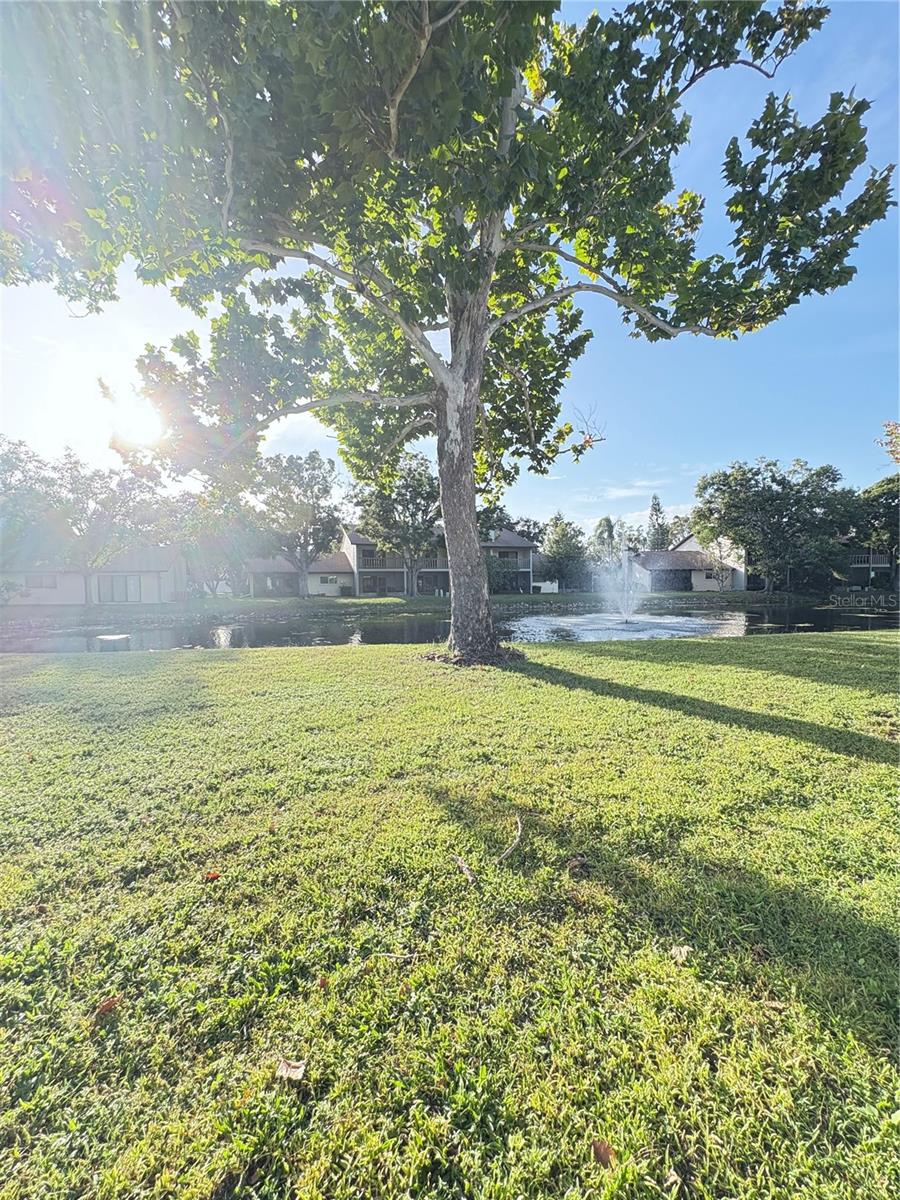 WHITNEY LAKES - Residential