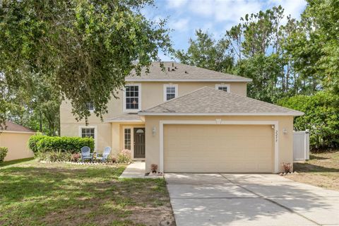 2255 TEALWOOD CIRCLE TAVARES FL 32778