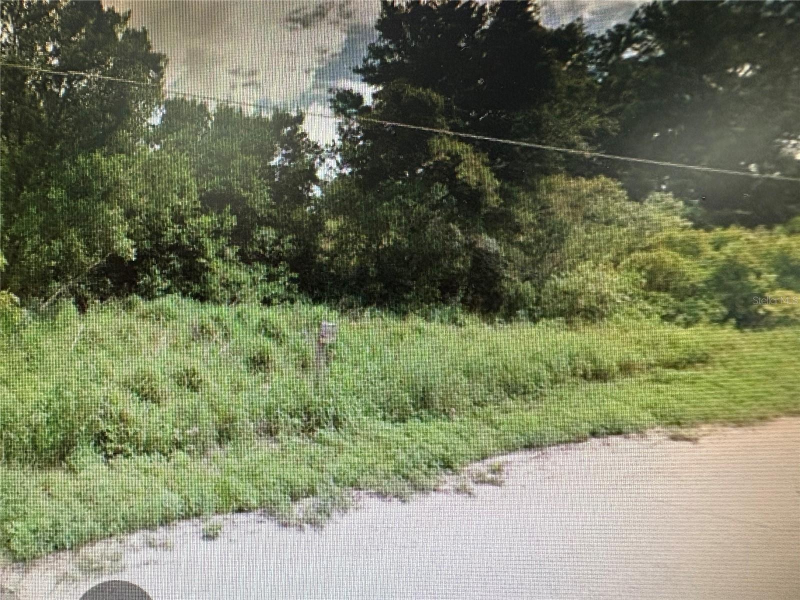 Lovely lot in country location between Leesburg and Tavares, away from hectic downtown Just under a mile from Lake Eustis. Around the corner from beautiful Downtown Mt. Dora, with it's picturesque historic streets of antique shops and restaurants.