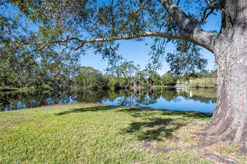 A home in PALM HARBOR