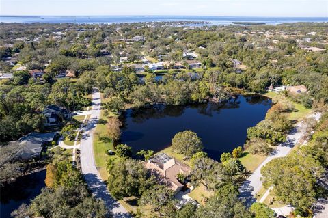 A home in PALM HARBOR