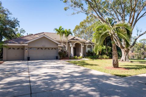 A home in PALM HARBOR