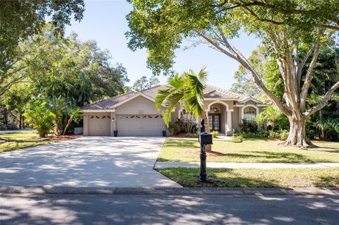 A home in PALM HARBOR