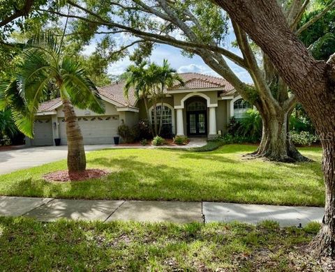 A home in PALM HARBOR