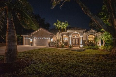 A home in PALM HARBOR