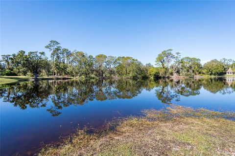 A home in PALM HARBOR