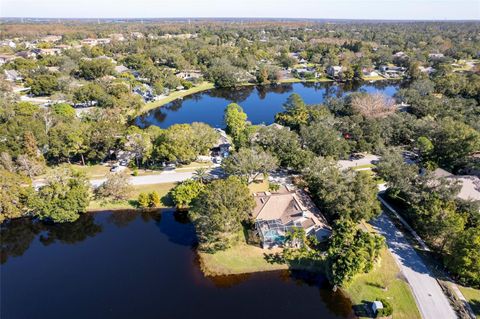 A home in PALM HARBOR