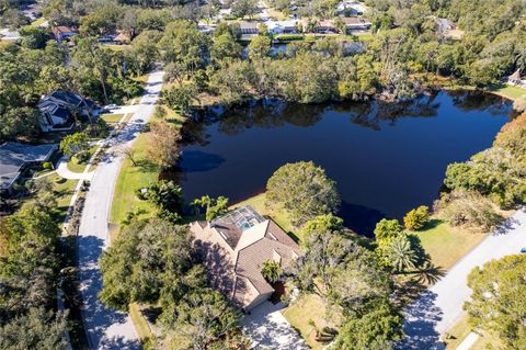 A home in PALM HARBOR