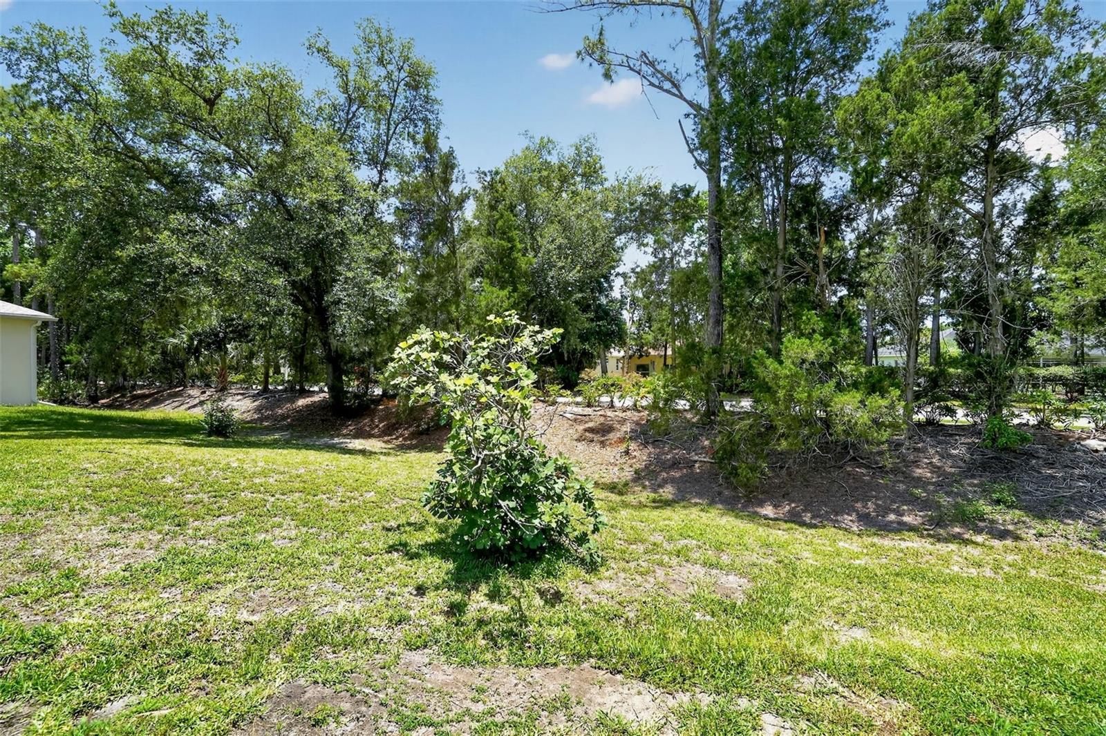 SUMMERFIELD VILLAGE SUBPHASE A U1,T302 - Residential
