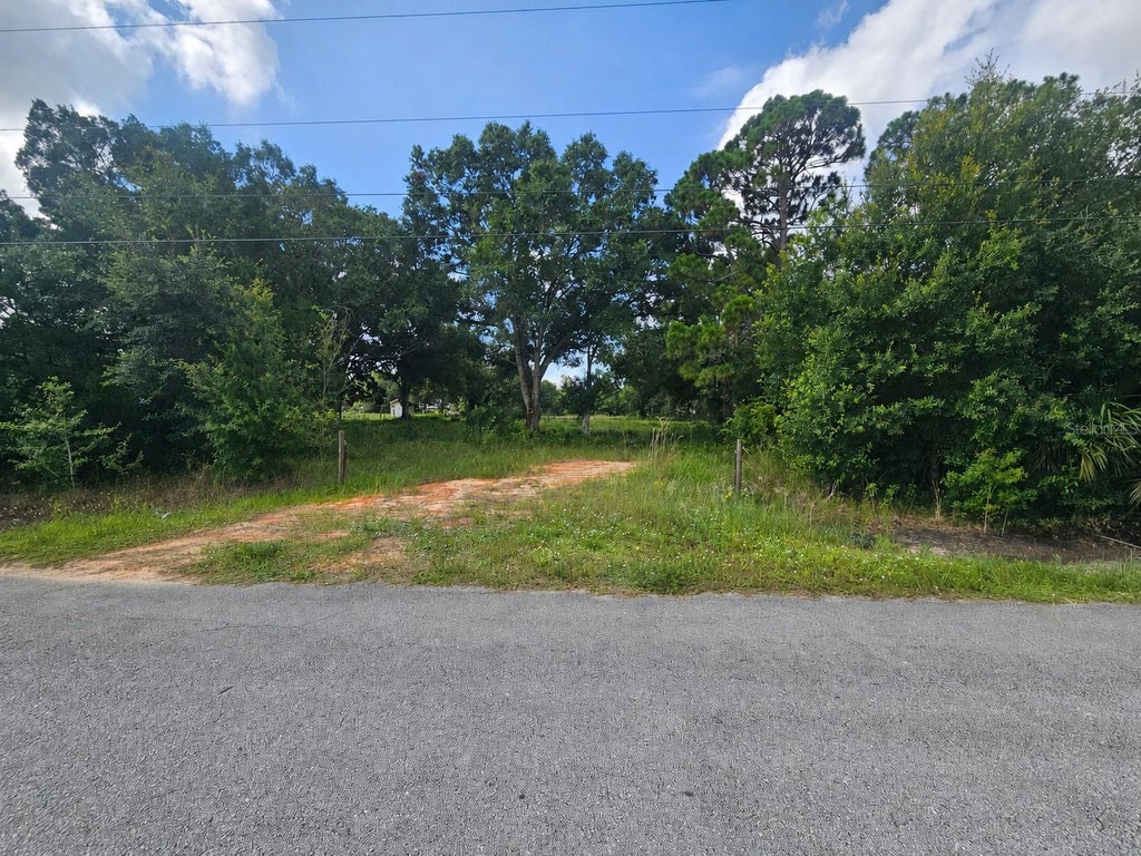 Photo of 3309 Elaine Drive, Lorida, FL 33857 (MLS # O6428575)