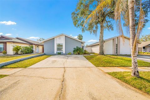 A home in TAMPA