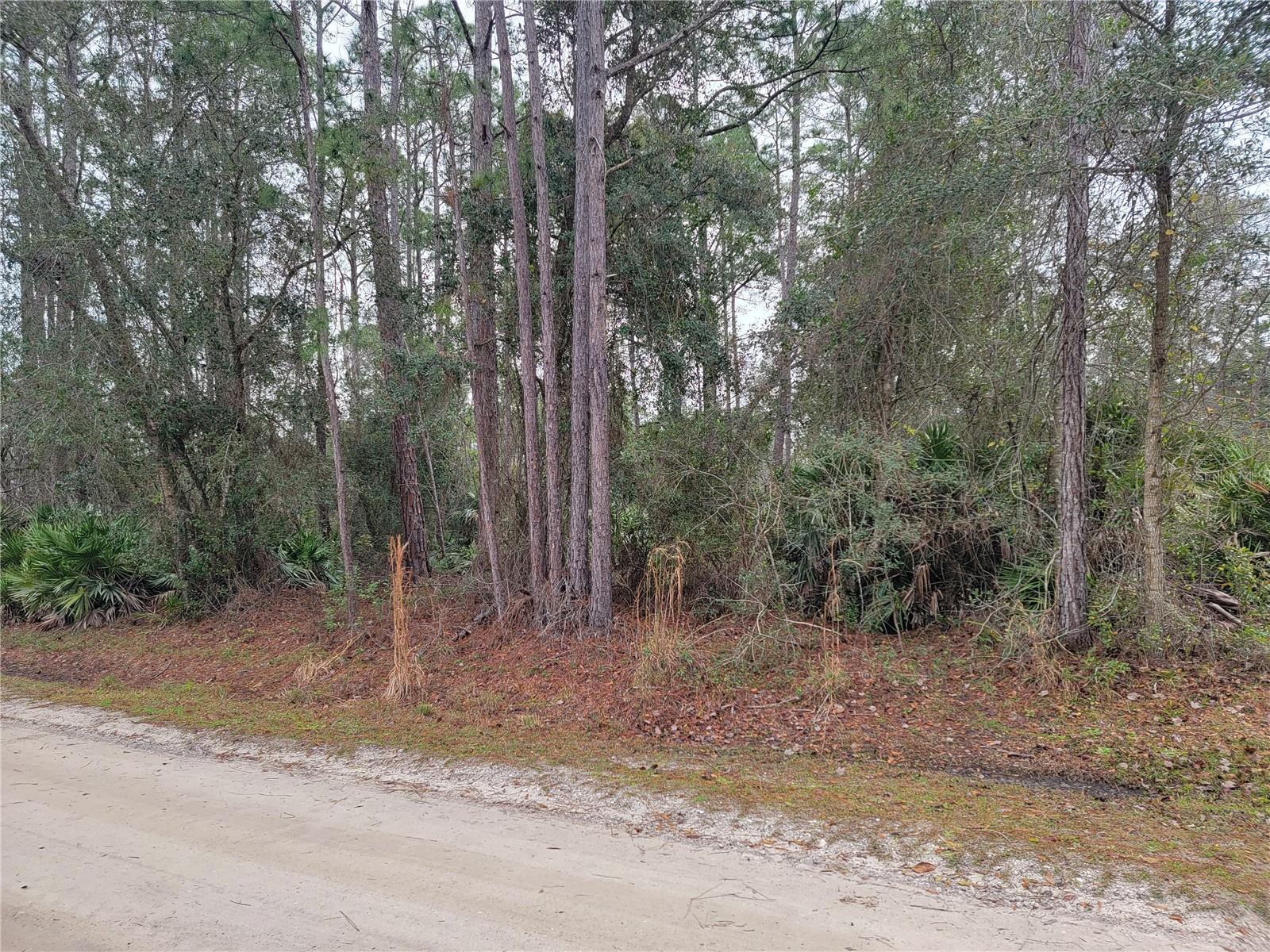 DAYTONA PARK ESTATES SEC F - Land