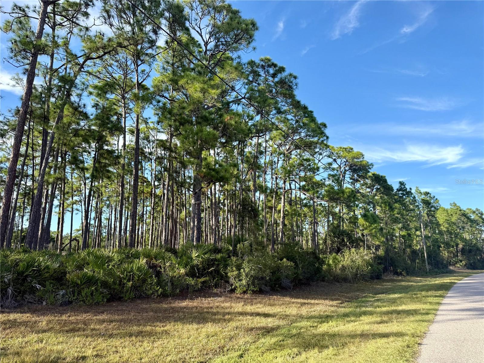 NORTH PORT CHARLOTTE ESTATES - Land
