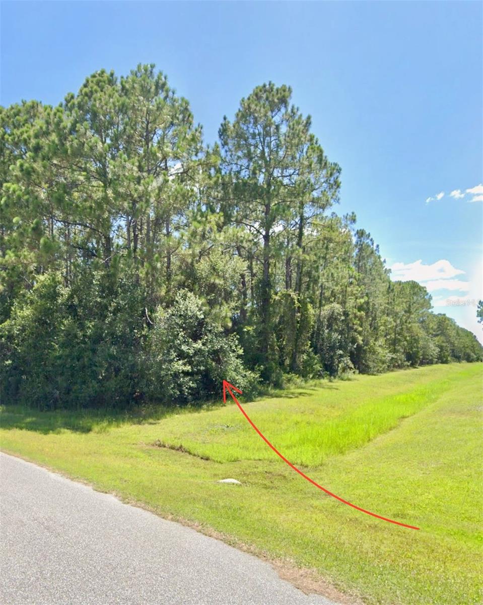 NORTH PORT CHARLOTTE ESTATES - Land