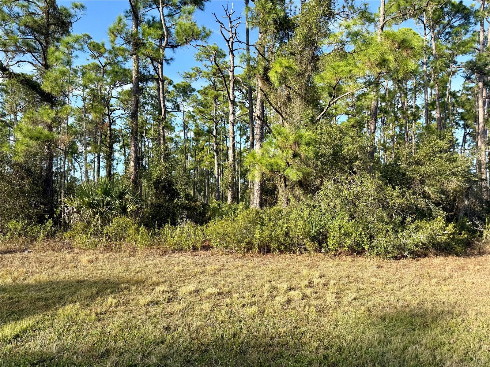 NORTH PORT CHARLOTTE ESTATES - Land