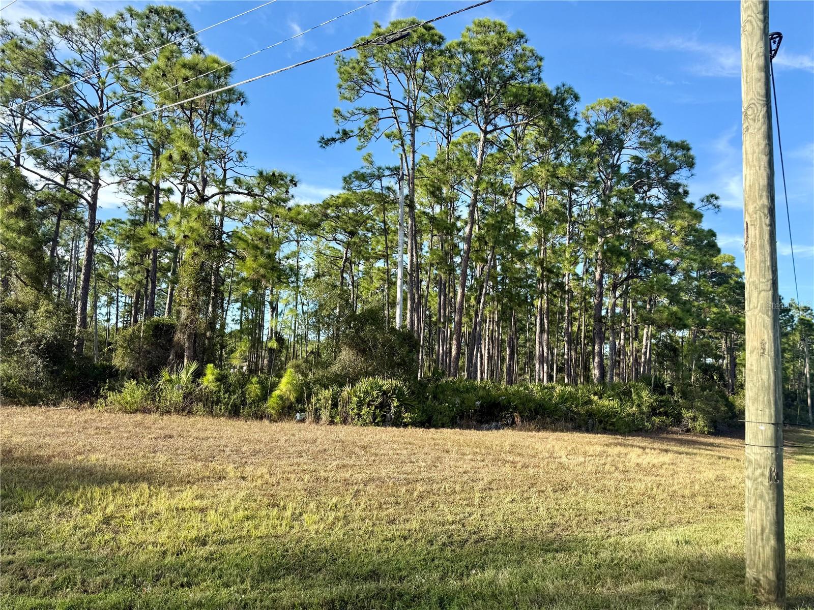 NORTH PORT CHARLOTTE ESTATES - Land