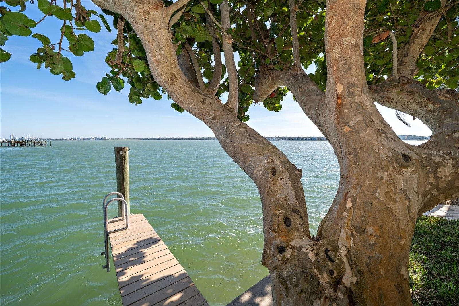 BELLEVUE ESTATES ISLAND 1ST ADD - Residential