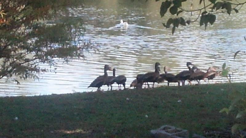 Photo 1 of 23 — 1024 - 1038 W DIXIE AVENUE, LEESBURG, FL 34748