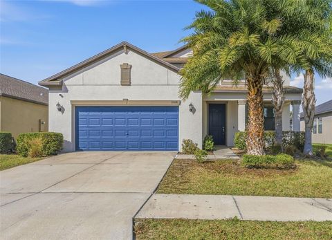 11014 LITTLE BLUE HERON DRIVE RIVERVIEW FL 33579