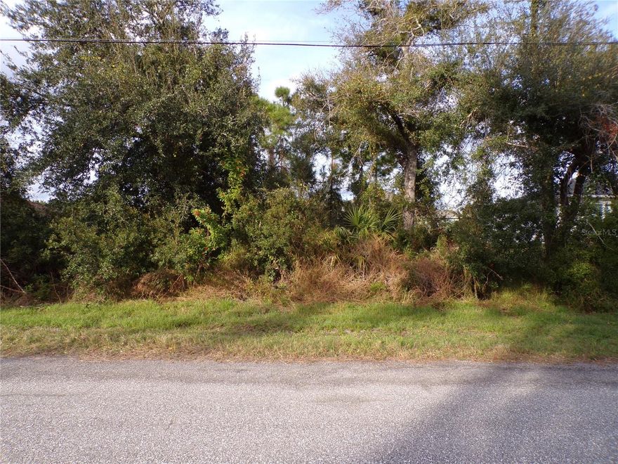 This lot is on a quiet street, that would be a great place to build your dream home and retire or raise your family. Less than 5 miles to I75 makes this location an easy commute to almost anywhere, and only 18 miles to Venice Pier and Beach with amazing sunsets, 6 miles to Cocoplum Village Shops with lots of shopping and dining options. Atlanta Braves spring training and the fairgrounds are just minutes away, also multiple golf courses and some of the best boating and fishing in all of Florida. Red Soxs, Orioles, Twins and Rays spring training all within an hour’s drive. Buyer and buyers’ reps are responsible for determining environmental conditions and endangered species restrictions. This lot is priced to sell so please call for availability! This lot is at a great price point for the investor call today.