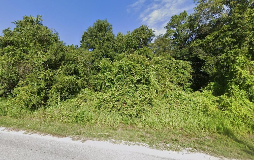 Photo of 50 Lake Dr, New Port Richey, FL 34654 (MLS # TB8531848)