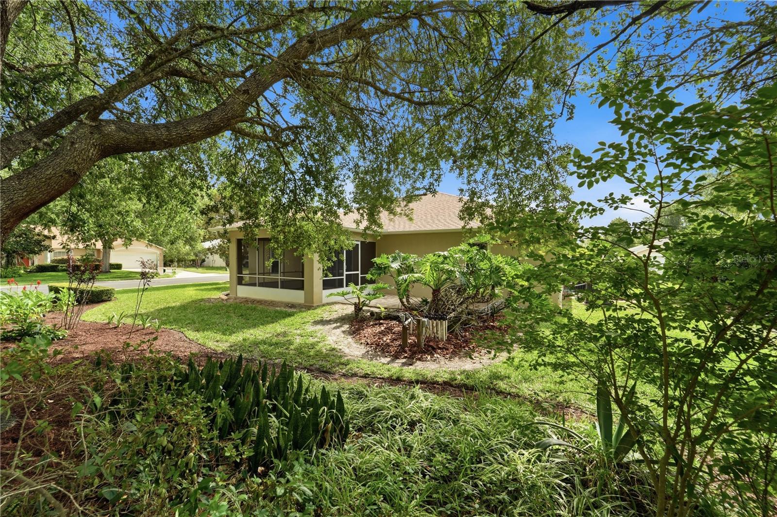 FOREST TRACE - Residential