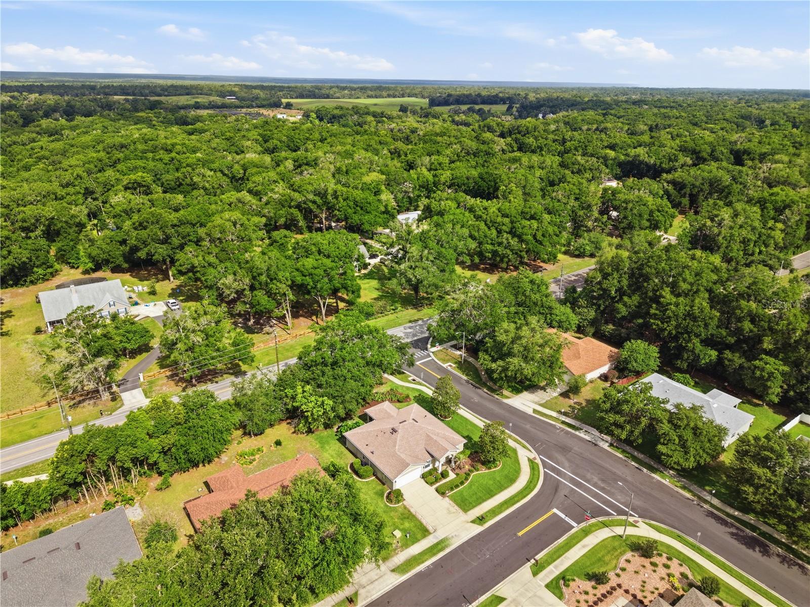 FOREST TRACE - Residential
