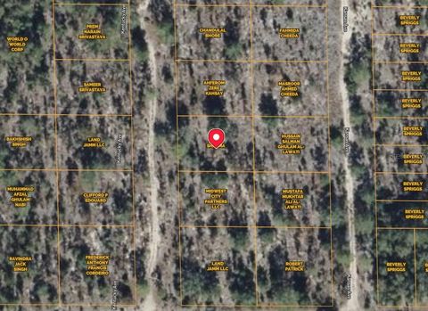 108 KENTUCKY HAWTHORNE FL 32640