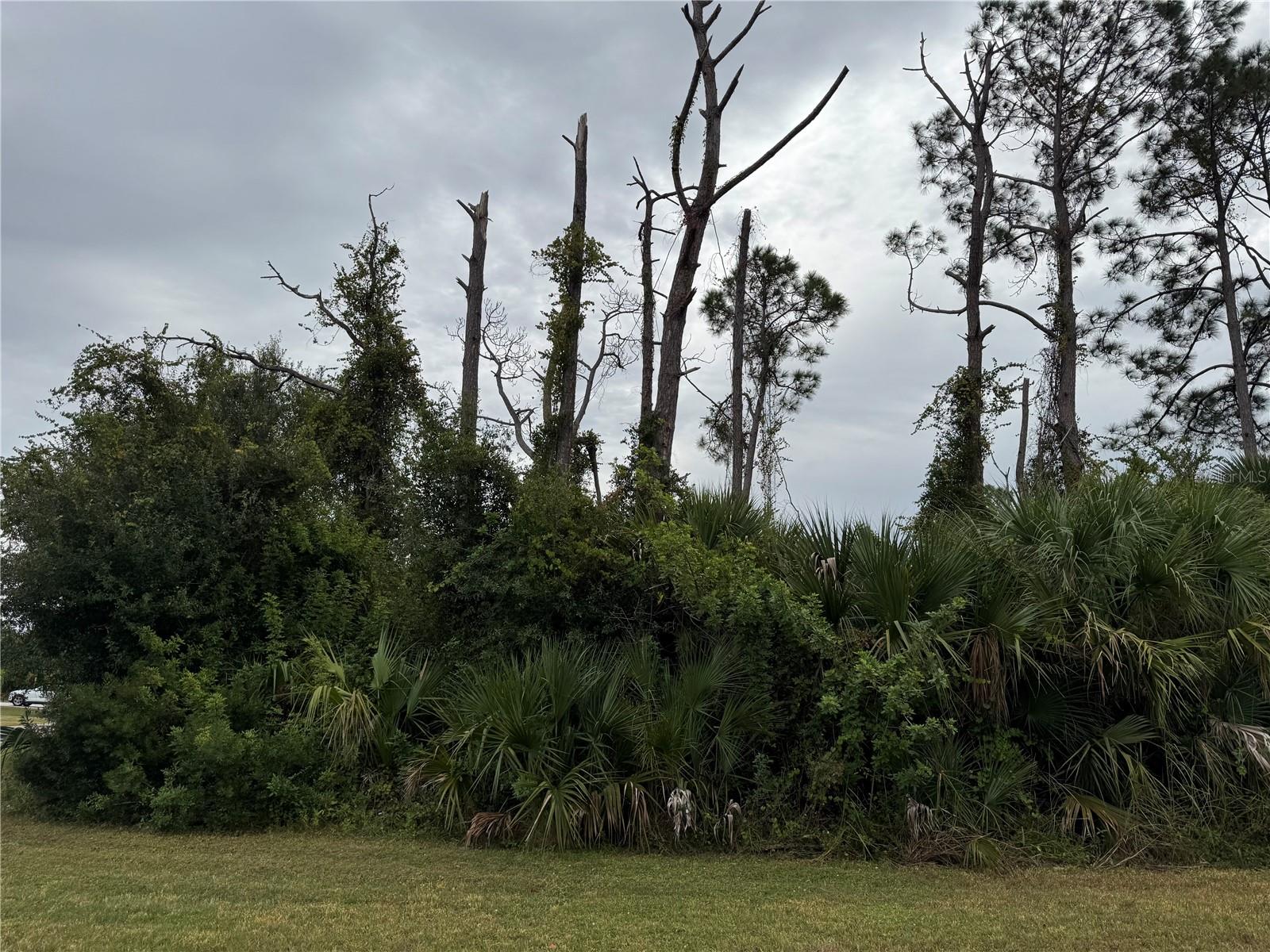 PORT CHARLOTTE SUB 49 - Land