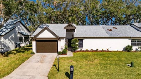 A home in PALM HARBOR