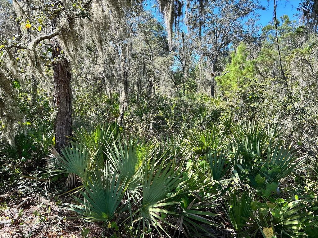 Photo of Woodstork Way, Frostproof, FL 33843 (MLS # L4957346)