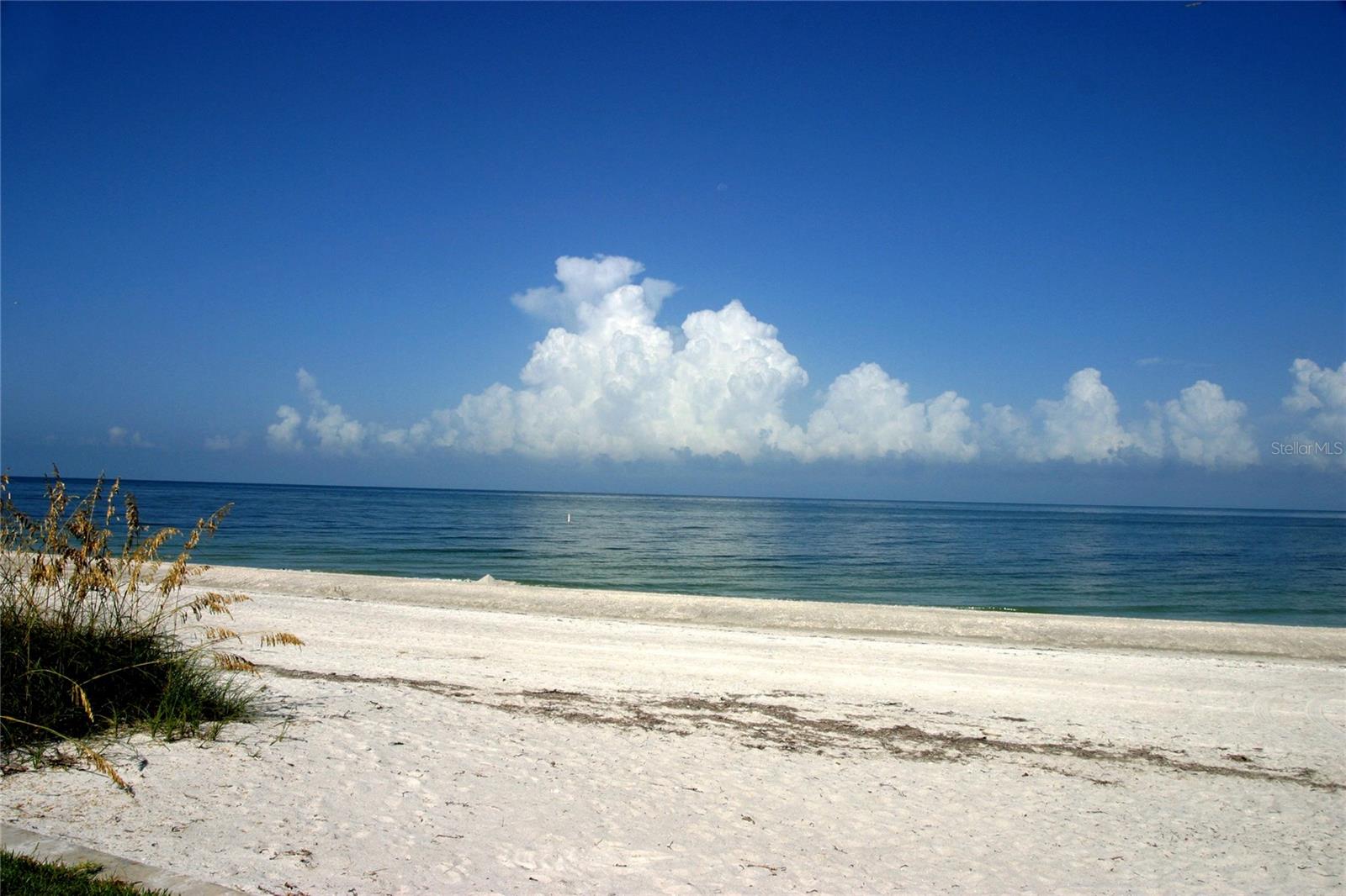 HARBORAGE CONDO BELLEAIR BEACH - Residential