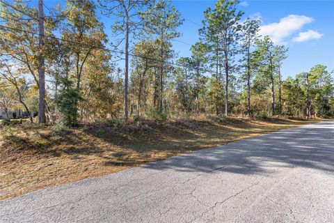 Tiny photo for 18498 SW 69th Loop, Dunnellon, FL 34432 (MLS # OM713540)