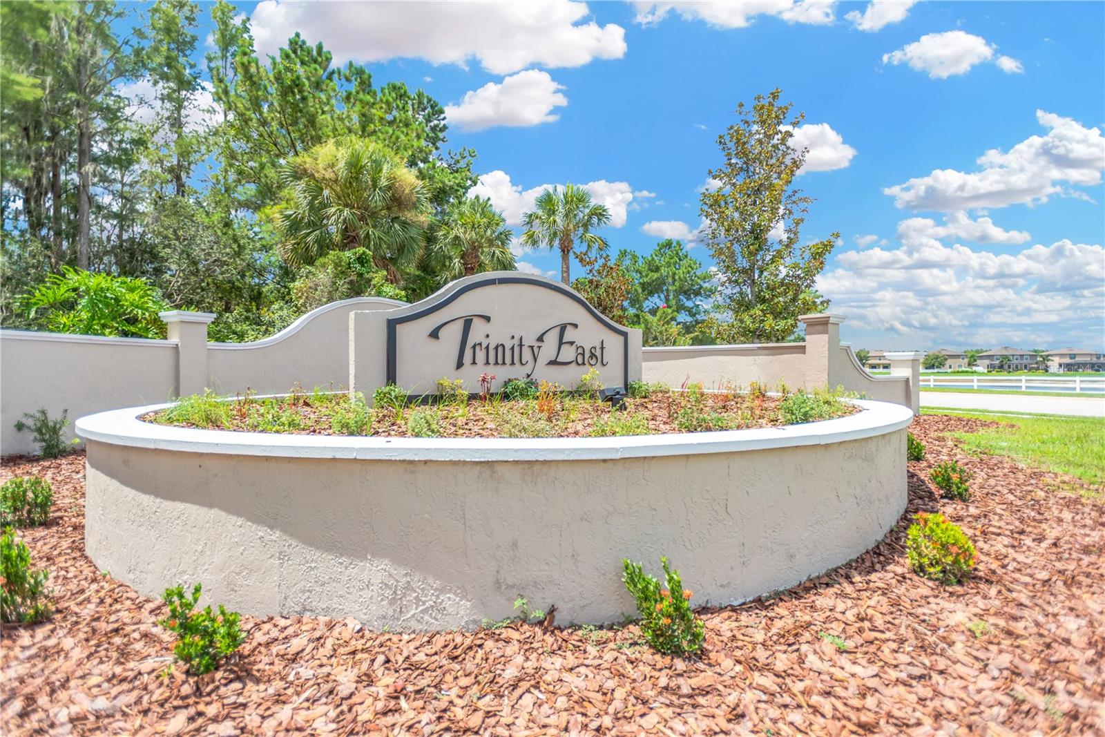 TRINITY EAST REPLAT - Residential