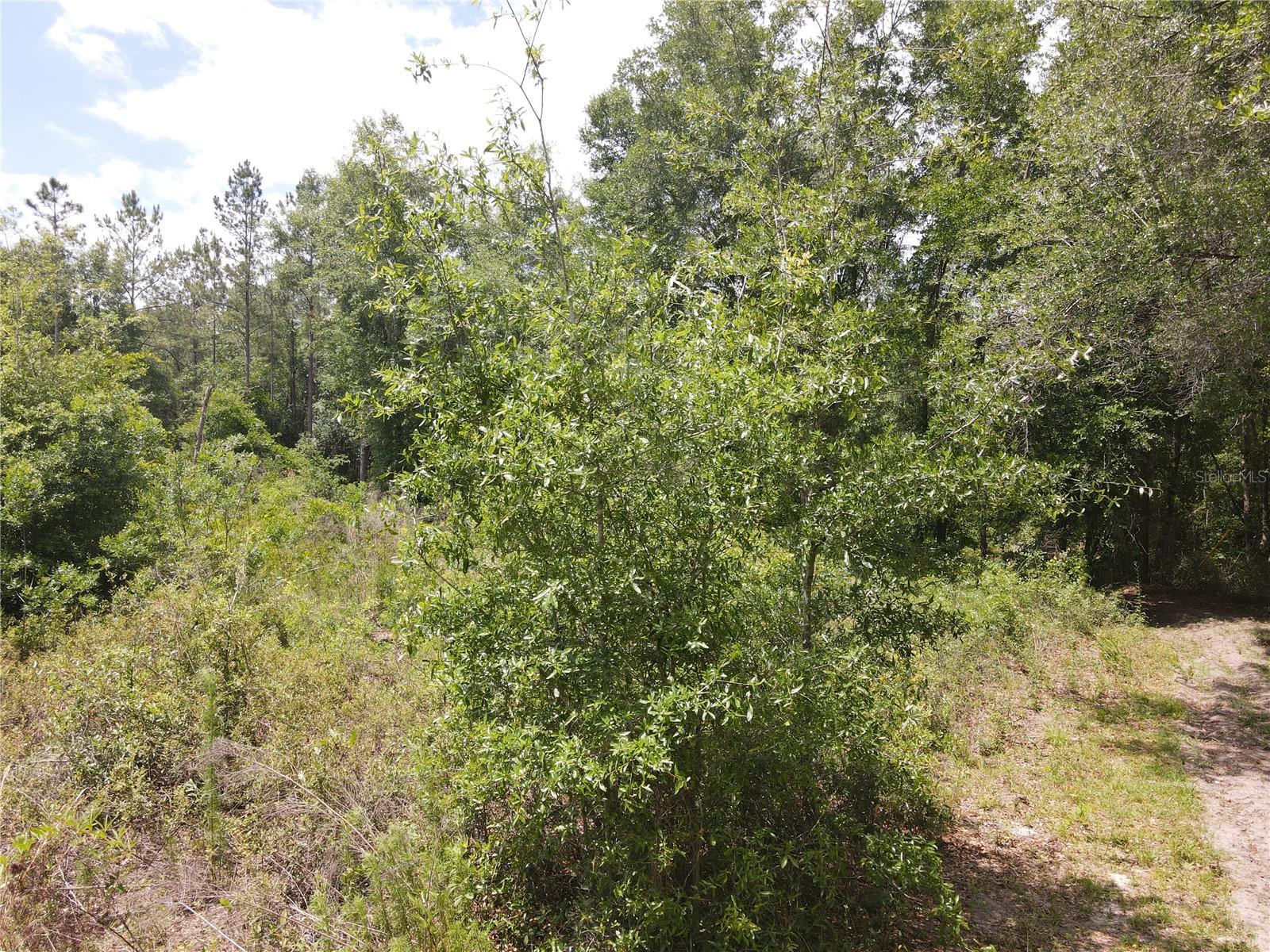 TBD N STATE ROAD 121 3