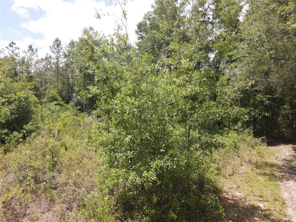 Photo of Tbd N State Road 121 #3, Alachua, FL 32615 (MLS # GC542928)