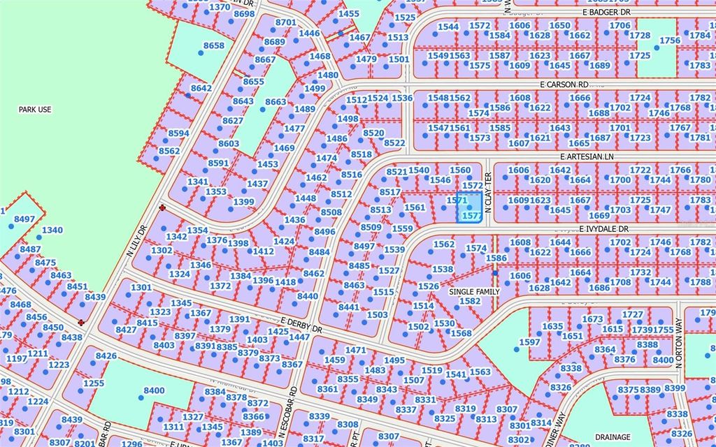 Photo of 1577 E Ivydale Drive, Citrus Springs, FL 34434 (MLS # OM709290)