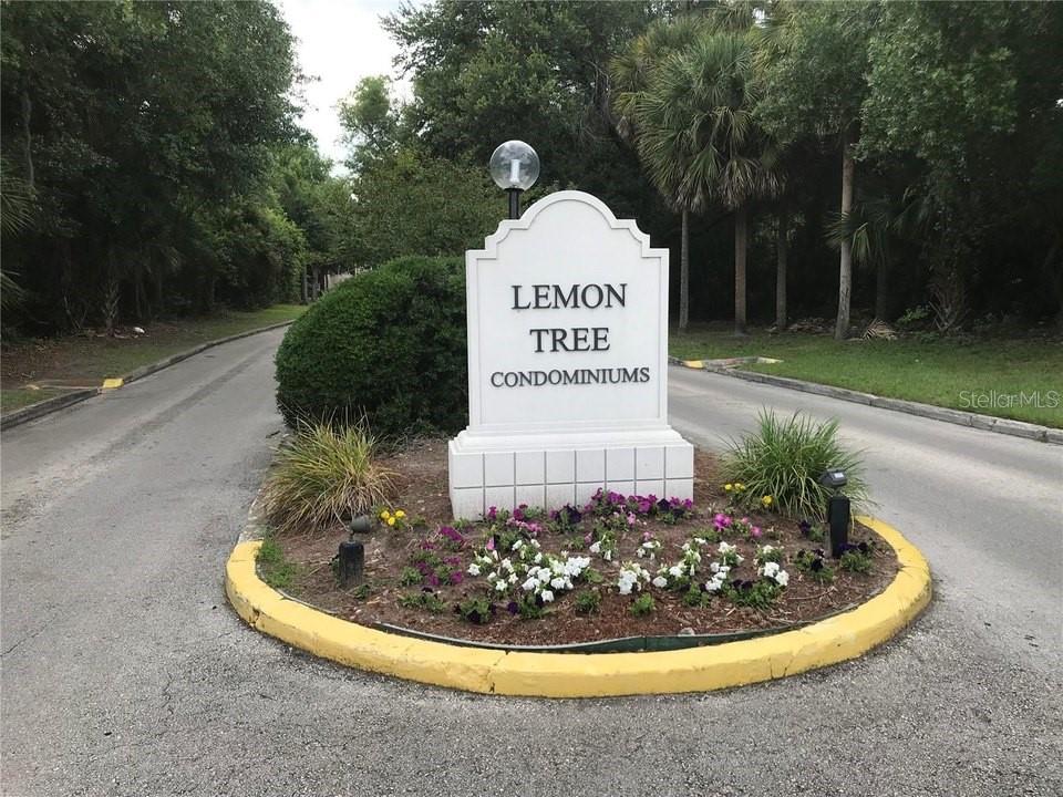 2512 LEMON TREE LANE 3C